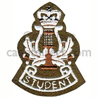 RMSM Student Arm Badge