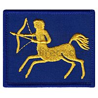 7 Air Defence Brigade Arm Army Badge, Coloured