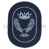 Air Cadet ACO Pre DofE Award Blue Badge