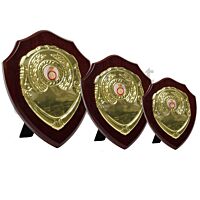 Army Cadet Force Shield Awards