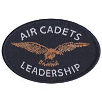 Air Cadet Basic Leadership Bronze Badge