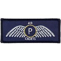 Air Cadets Pilot Scholarship ACPS Gold Wings