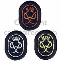 Latest ACF CCF DofE Award Scheme Badges