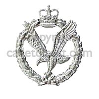 Army Air Corps Ranks Cap Badge, Metal