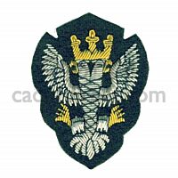 Mercian Regiment Officers Embroidered Beret Badge