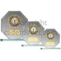 Octagon Jade Glass Award