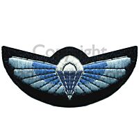 SAS Wings Arm Badge