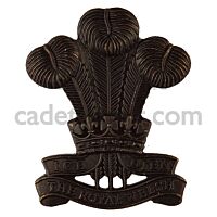 Royal Regiment of Wales Bronze Beret Badge