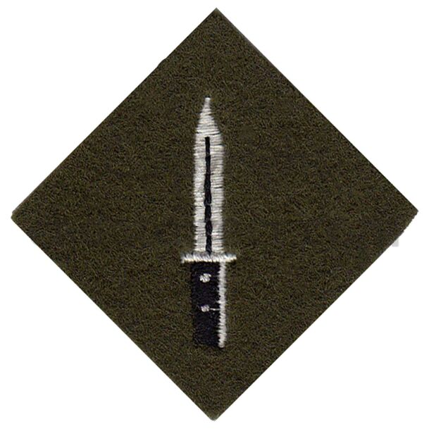 Combat Infantryman Badge | No.2 Dress | Cadet Direct Ltd.