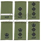 ACF Officers Army Cadet Rank Slides, Black on Olive