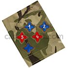 PCS ACF Proficiency Star Badges