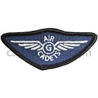 Air Cadets SGS Silver Wings Badge