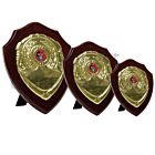 CCF Awards Shields