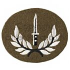 Class 1 Infantry Soldier Badge