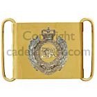 Brass Belt Plate & Catch 