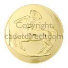 RAVC Anodised Gold Buttons