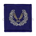 Air Cadet Master Cadet Badge, Gold/Silver on Blue