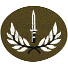 PCS Advanced Infantry Badge