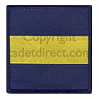 PWRR Tactical Recognition Flash