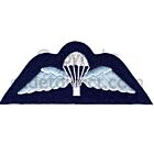 Parachutist Wings Badge. RAF