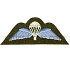 Qualified Parachutist Wings Badge Coloured