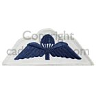 Navy Parachutist Wings