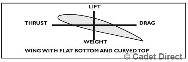 Cross section of wing