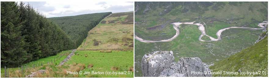 Features for Handrailing